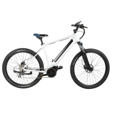 Comfortable City E Bike Adult Mobility Scooter 350W Brushless Bafang Motor